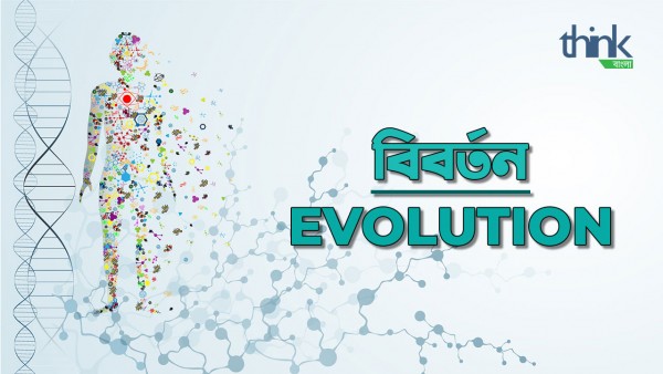 Evolution | বিবর্তন