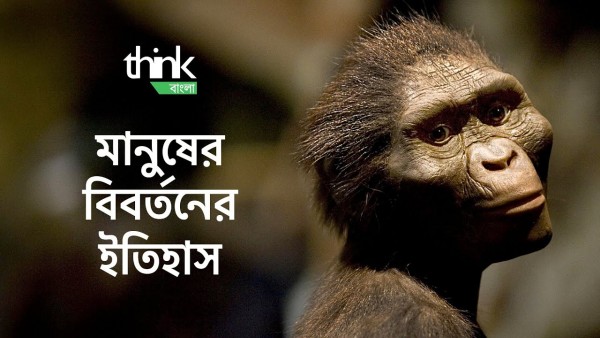 মানুষের বিবর্তনের ইতিহাস | Human Evolution | Think Bangla