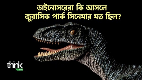 ডাইনোসর! ডাইনোসরেরা কি জুরাসিক পার্ক সিনেমার মত ছিল? | Jurassic park dinosaurs | Think Bangla