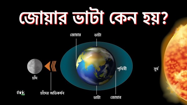 জোয়ার ভাটা কেন হয়? জোয়ার ভাটার বৈজ্ঞানিক ব্যাখ্যা কী?