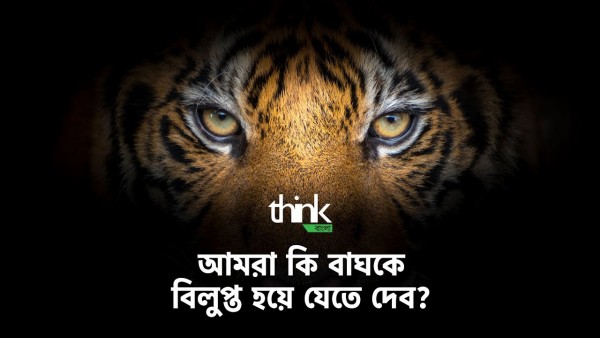 বাঘ কেন বিলুপ্ত হচ্ছে ? বাঘের সংখ্যা কমছে কেন ? | Will we let Tiger go extinct? | Think Bangla